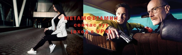 твердый Тайга