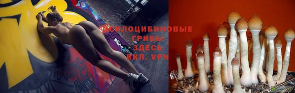 шишки Каменногорск