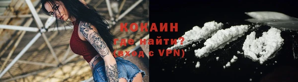 прущие грибы Киренск