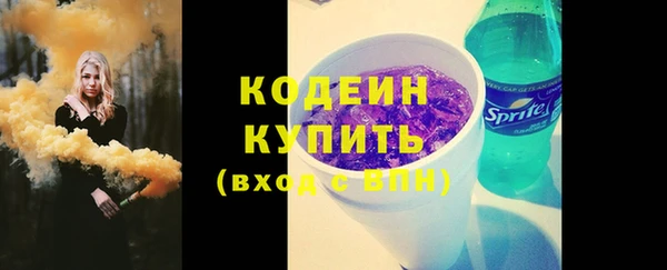 гашик Каменка