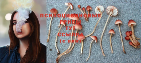 мескалин Карталы