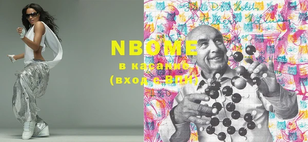 шишки Каменногорск