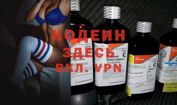 шишки Каменногорск
