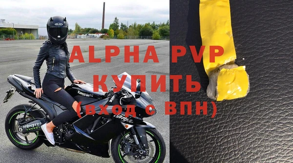 шишки Каменногорск