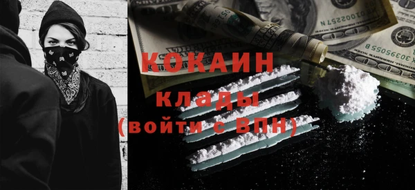 гашик Каменка
