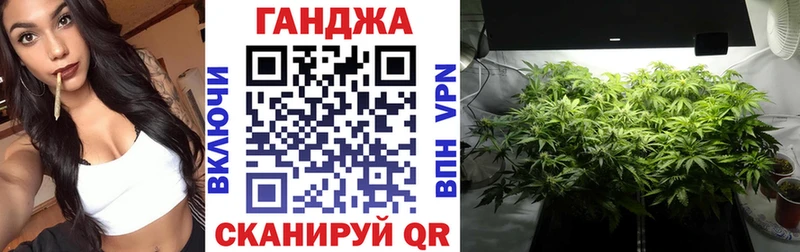 Каннабис ГИДРОПОН Кашин